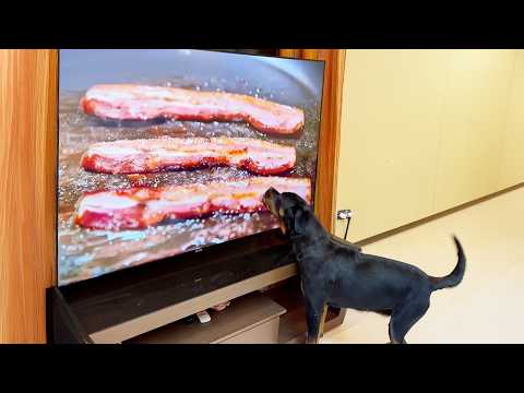 Видео: Лучшие фейлы недели | Подборка самых смешных фейлов