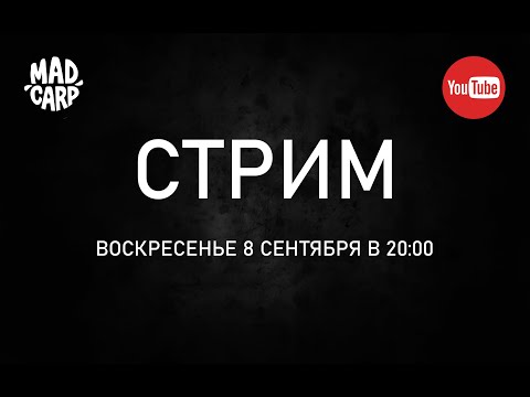 Видео: Стрим команды Mad Carp о карпфишинге и не только