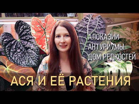 Видео: АСЯ И ЕЕ РАСТЕНИЯ. Большой обзор РЕДКОСТЕЙ