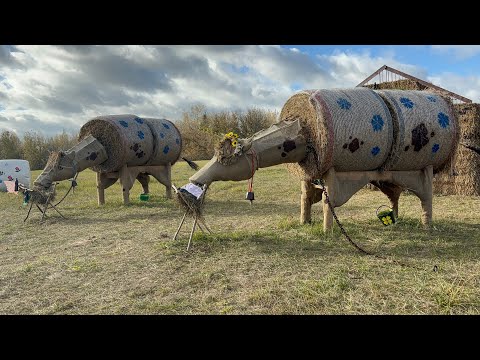 Видео: Скоро в продаже дом.В шаговой доступности от Беловежской Пущи.