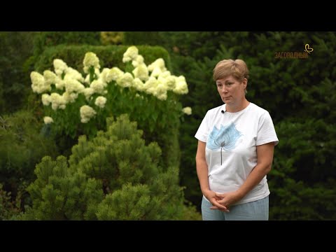 Видео: Частный сад Ирины Кондыревой