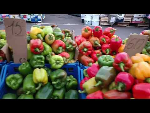 Видео: ОГОРОДНІЙ СЕЗОН ЗАКІНЧЕНО....НЕ ЗОВСІМ.