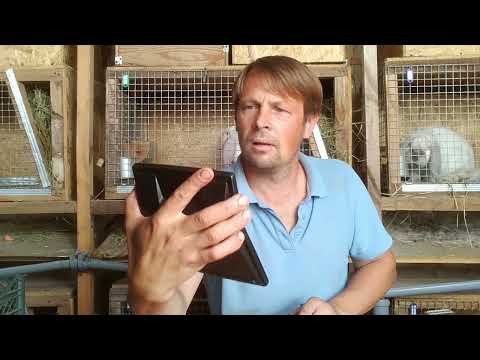 Видео: ГДЕ 60%? Выход мяса у французских баранов.