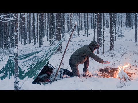 Видео: Я НЕ ОЖИДАЛ СТОЛЬКО СНЕГА! НОЧЬ В ЗИМНЕМ ЛЕСУ ПОД ТЕНТОМ