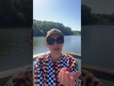 Видео: Первая половина сентября 2025 года 