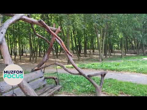 Видео: Блики солнца | Фоновая музыка без мата без слов @MUZFONFOCUS  #музыкабезмата #парк #focusmusic