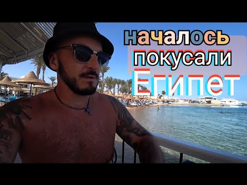 Видео: Египет 🇪🇬Ночной ужин Marlin inn Azur Resort 4 Анимация/ Температура в бассейне в марте