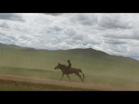 Видео: 2020 оны 07-7ны Сунгаа Төв аймаг сэрэглэн сум.