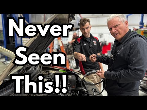 Видео: Ей только что заменили ремни, но они всё ещё скрипят! Amazon снова наносит удар?!