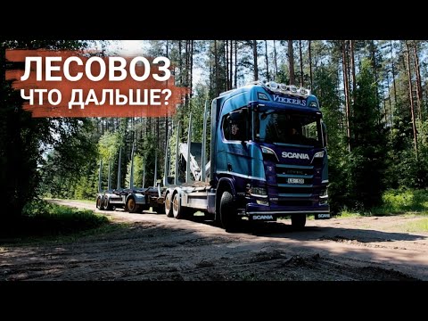 Видео: ЛЕСОВОЗ.Scania.Открываю фирму.