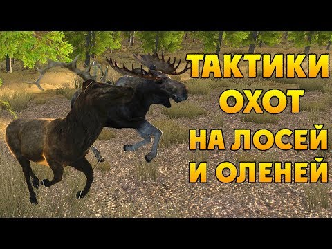 Видео: ВСЁ О ЛОСЯХ И ОЛЕНЯХ | WolfQuest 2.7.3