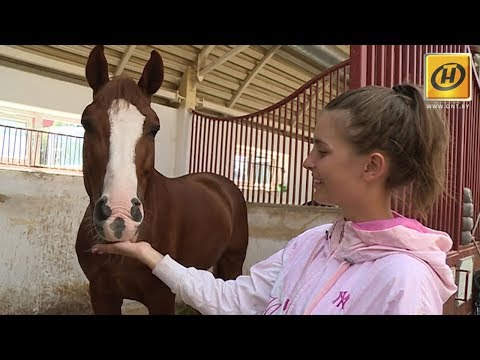 Видео: Конный спорт или зачем любить лошадок?