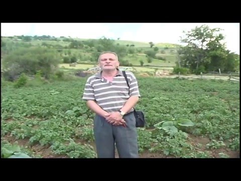 Видео: Пехчево
