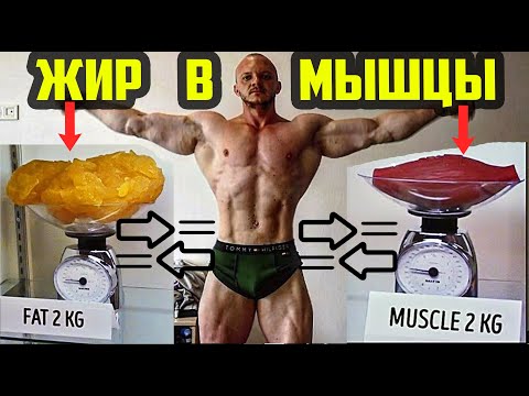 Видео: КОНВЕРТИРУЕМ ЖИР В МЫШЦЫ НАТУРАЛЬНО - СЖИГАТЬ ЖИР И НАРАЩИВАТЬ МЫШЦЫ ОДНОВРЕМЕННО | РЕКОМПОЗИЦИЯ