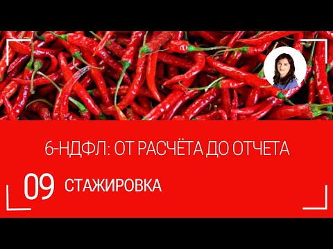 Видео: #9 Учет НДФЛ: от расчёта до отчета.