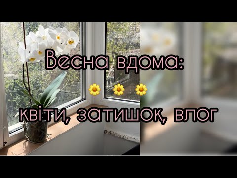 Видео: Весняний влог: готуємось до Пасхи, пересаджую квіти, покупки з Pepco!