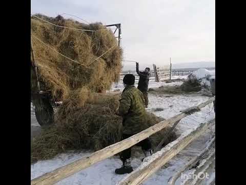 Видео: СП "Арзгун"