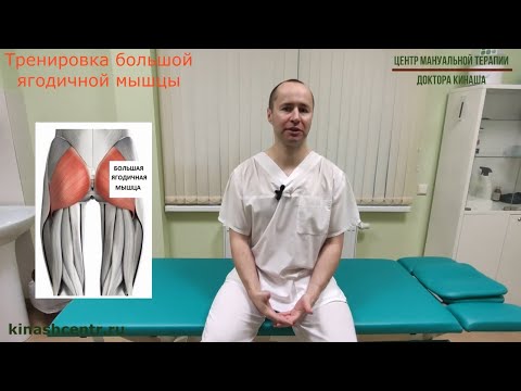 Видео: Тренировка большой ягодичной мышцы.