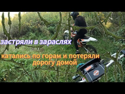 Видео: покатушки по лесам и полям