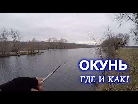 Видео: ОКУНЬ перед ЛЕДОСТАВОМ! ГДЕ искать/КАК ловить! Псел! МДЖ/Термопосуда Ranger