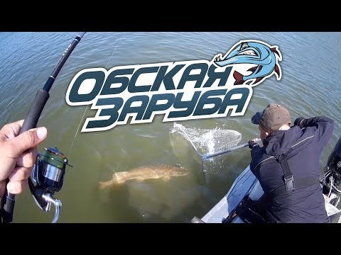 Видео: Обская заруба 2018 - Итоговый фильм | Рыбалка с FishingSib
