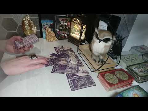 Видео: 🤷‍♀️🔥Что, вообще, творится в его жизни сейчас🔥. Какое там Ваше место🤷‍♀️🔥