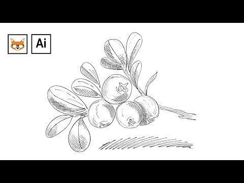 Видео: Как нарисовать скетч в Adobe Illustrator при помощи кистей