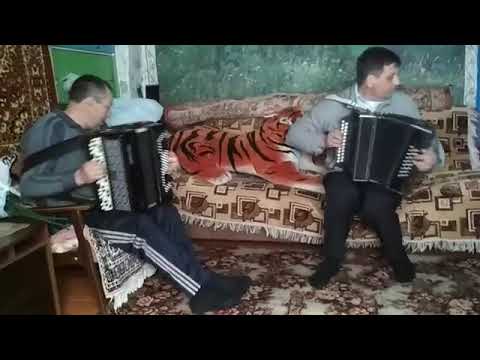 Видео: Частушки-страдания.