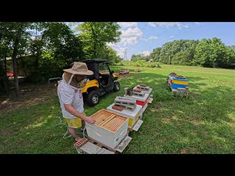 Видео: Пришло время кормить!