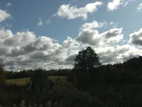 Видео: Russian romance, УТРО ТУМАННОЕ. Boris Shtokolov