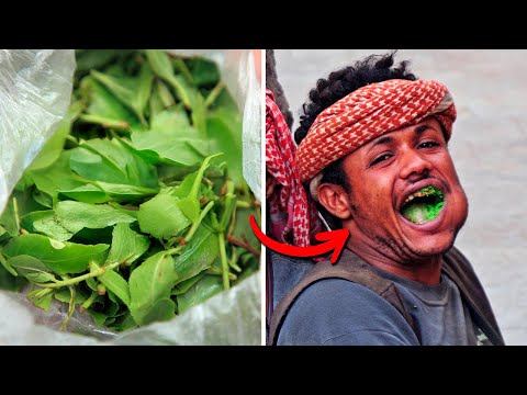 Видео: Он даёт энергию… а потом забирает всё. Что такое хат?