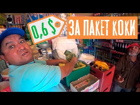 Видео: Листья коки на развес | Жизнь в горах | Путешествие по Перу | #4