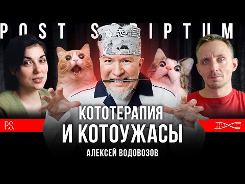 Видео: Кототерапия и котоужасы | Алексей Водовозов | Постскриптум