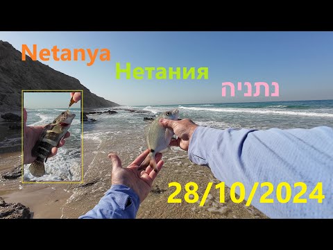 Видео: 4K 28/10/2024 Netanya Нетания נתניה דיג рыбалка fishing