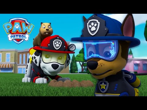Видео: Чейс и Маршал прогонват глиганите - PAW Patrol Bulgarian - карикатури за деца