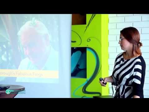 Видео: Как да подкрепим децата да учат по-ефективно?