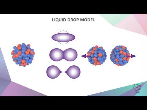 Видео: 1.9 Исключение из правила, которое становится правилом