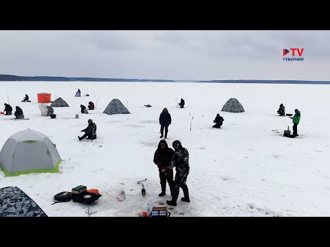 Видео: Зачем сотни рыбаков разбили палаточный лагерь на Воронежском водохранилище