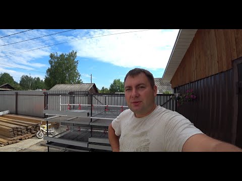 Видео: Считаем себестоимость бройлера. Стоит ли тратить на оборудование?