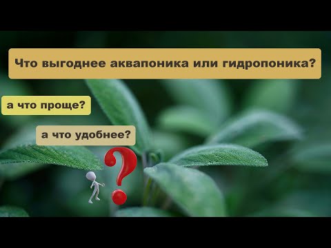 Видео: Что выгоднее и проще аквапоника или гидропоника?