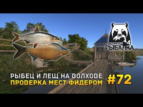 Видео: Русская рыбалка 4 #72 - Рыбец и Лещ на Волхове. Проверка мест фидером