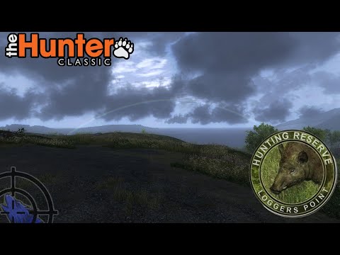 Видео: Охотничьи угодья Loggers Point | Классика охоты