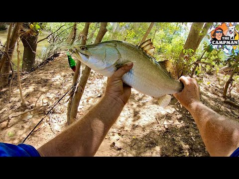 Видео: Кемпинг/Рыбалка на Барре/Исследование @Hann River Roadhouse...КЕЙП-ЙОРК