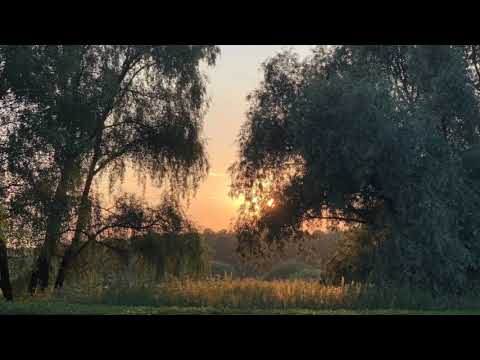 Видео: Музыка для сна. Включайте во время сна, для лёгкого засыпания и глубинного обновления