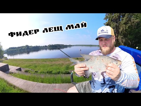 Видео: Фидер, Лещ, Май. Рыбалка в Дубне на Волге
