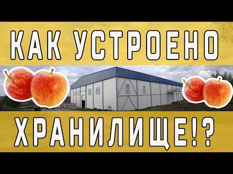 Видео: Как устроено хранилище под яблоки!?
