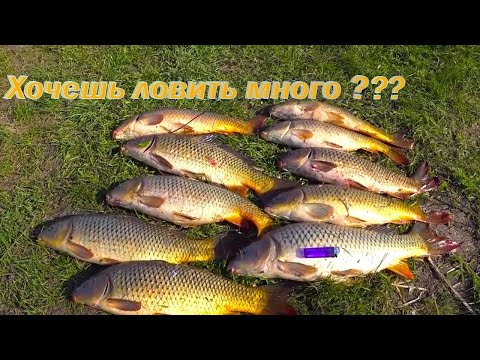 Видео: СЕКРЕТЫ ДЛЯ НАЧИНАЮЩИХ !!!