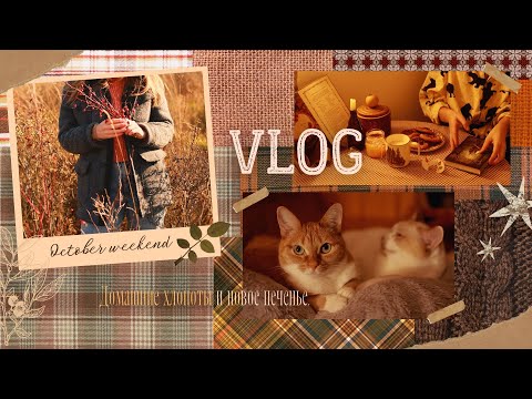Видео: Октябрьский выходной | Домашние хлопоты, печенье с пеканом и охота на шиповник.