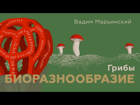 Видео: Грибы. Естествознание 8.5