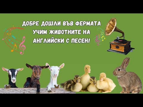 Видео: Добре дошли във фермата 🐷🐴🐶 Учим животните на английски!